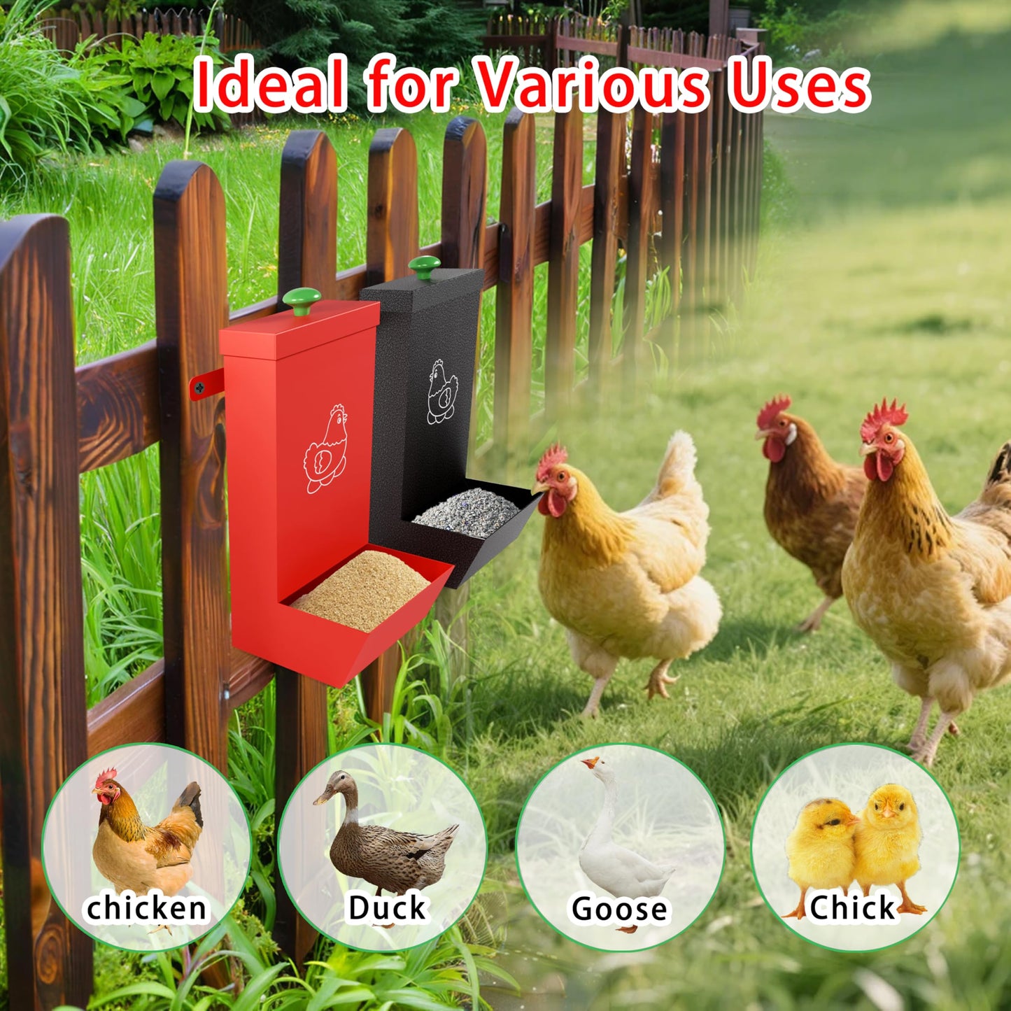 2-Pack Metal Hanging Chicken Feeder with Lid – Waterproof Gravity Poultry Feeder Trough, Automatic Chicken Coop Accessories (Black + Red)