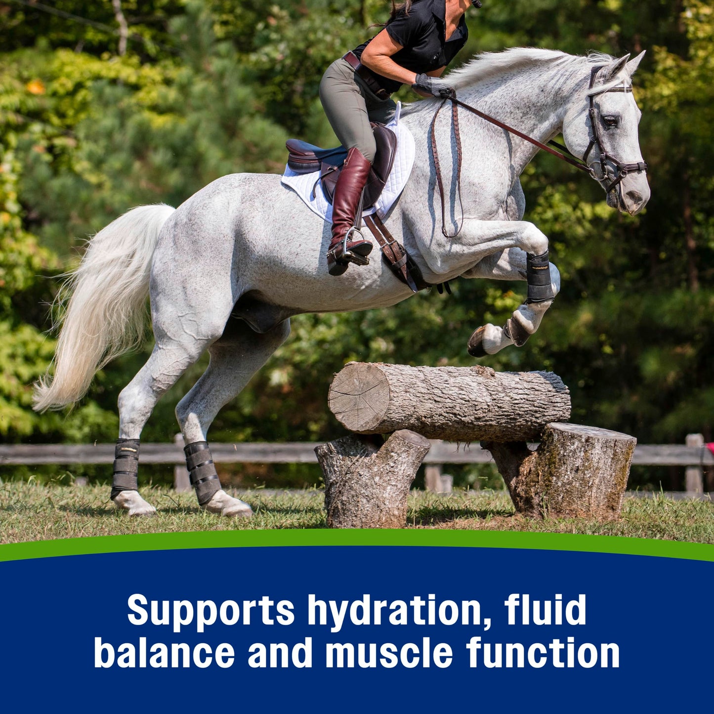Farnam Apple Elite Electrolyte Powder Supplement for Horses, Replaces Vital Minerals, Encourages Hydration, No Added Sugar, 5 pounds