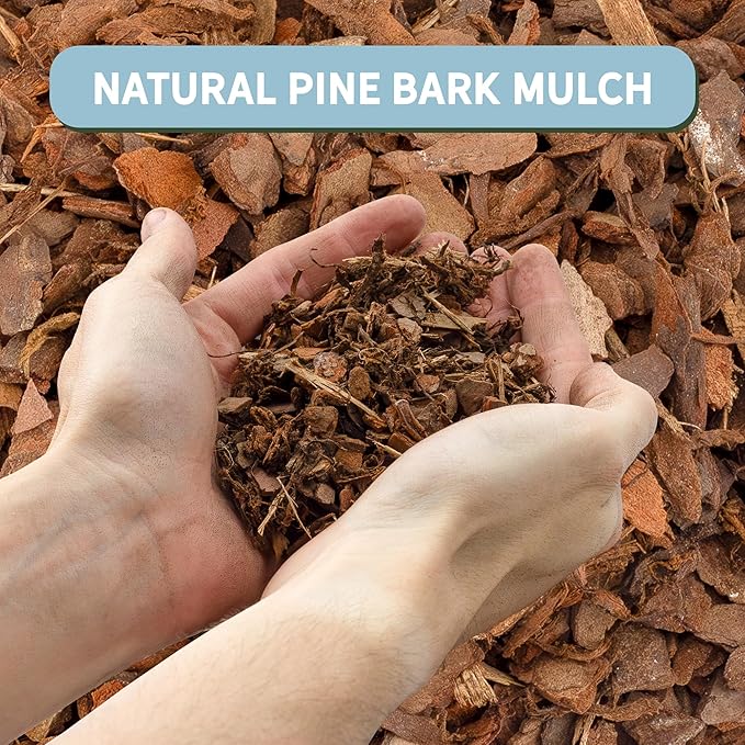100% Natural Pine Bark Mulch Nuggets (8 Quarts), Small Mulch Chips for Indoor/Outdoor Container Gardening, Ideal for Soil Supplement, Houseplant Mulch