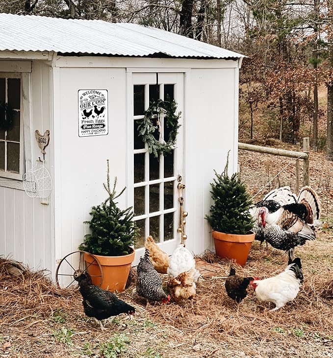 Funny Chicken Gifts Welcome To Our Coop Tin Sign for Home Farm Chicken Coop Farmhouse Kicthen Garden Decor 8 X 12 Inch (3521)