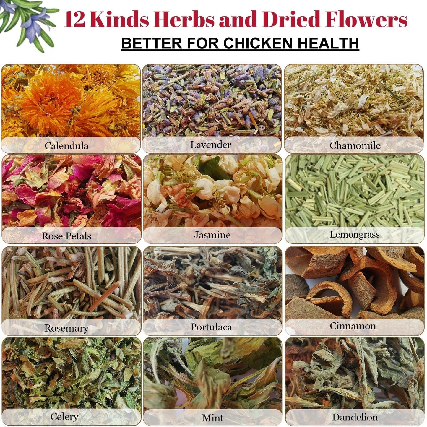 21 oz Chicken Nesting Herbs Flowers - 1.3lb Poultry Blend Herbs 12 Premium Nesting Box Herbs for Chicken Coop Refresher Boost Egg Laying Hens Herb Supplement for Backyard