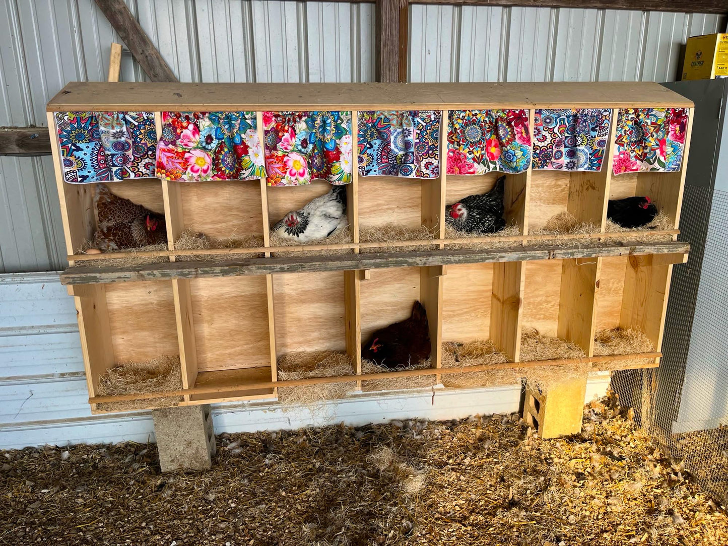 Nesting Pads for Chicken Coop Accessories - 12 Pack - Aspen Bedding for Chicken Nesting Box Rabbit Hutch - Organic Chicken Supplies