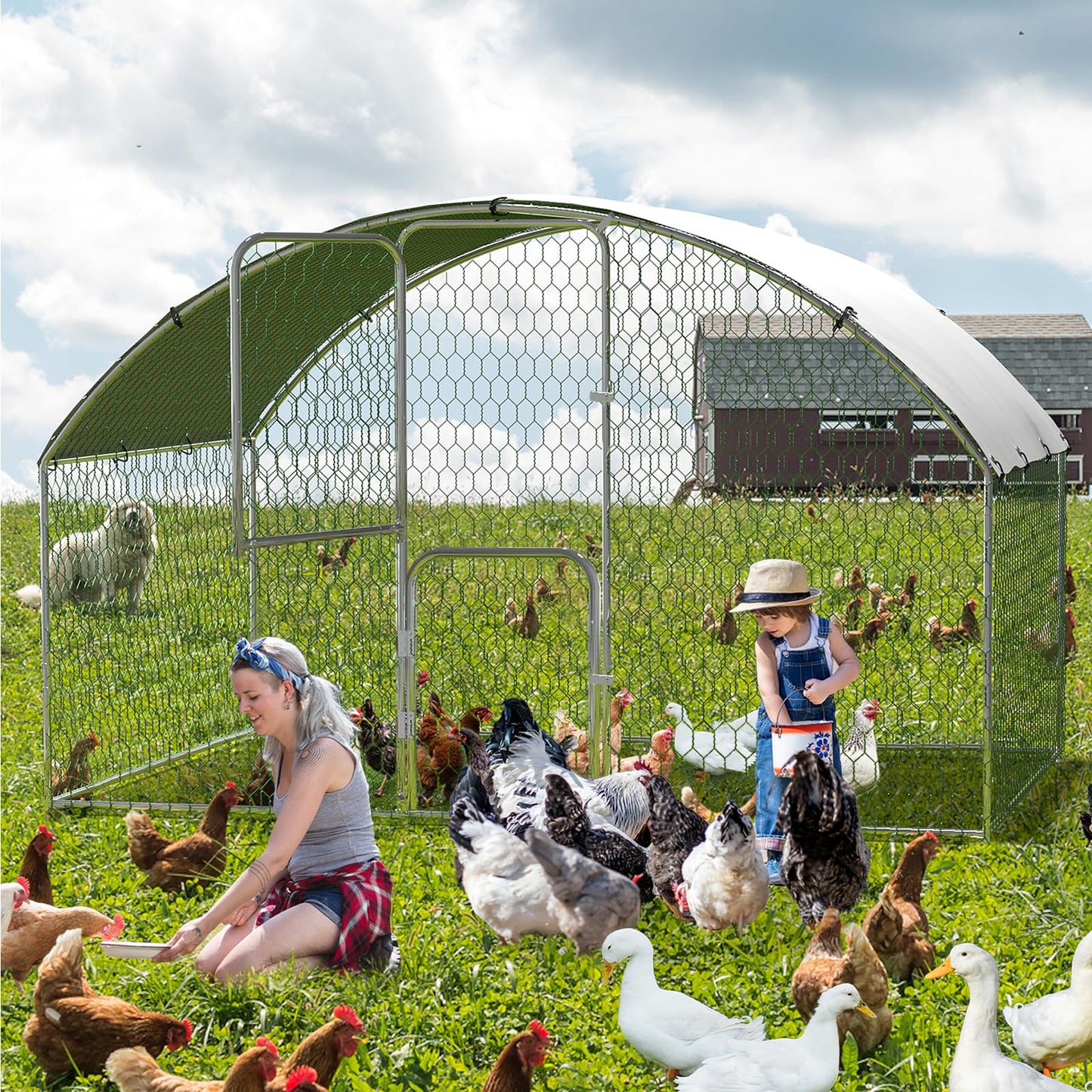 Large Metal Chicken Coop, Walk-in Chiken Coop, Outdoor Poultry Cage Hen House, Chicken Pen for Outdoor Backyard Farms, Homesteading Use 9.8x6.5x6.6in