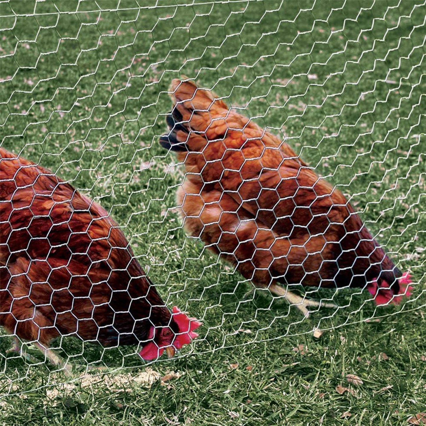 YARDGARD Chicken Wire 1 Inch Mesh 60 Inch X 150 Foot 20 Gauge Galvanized Steel Wire Fence Ideal for Crafting, Garden Protection, Bird Enclosures, Chicken Coops, Poultry Netting and Rabbit Fencing