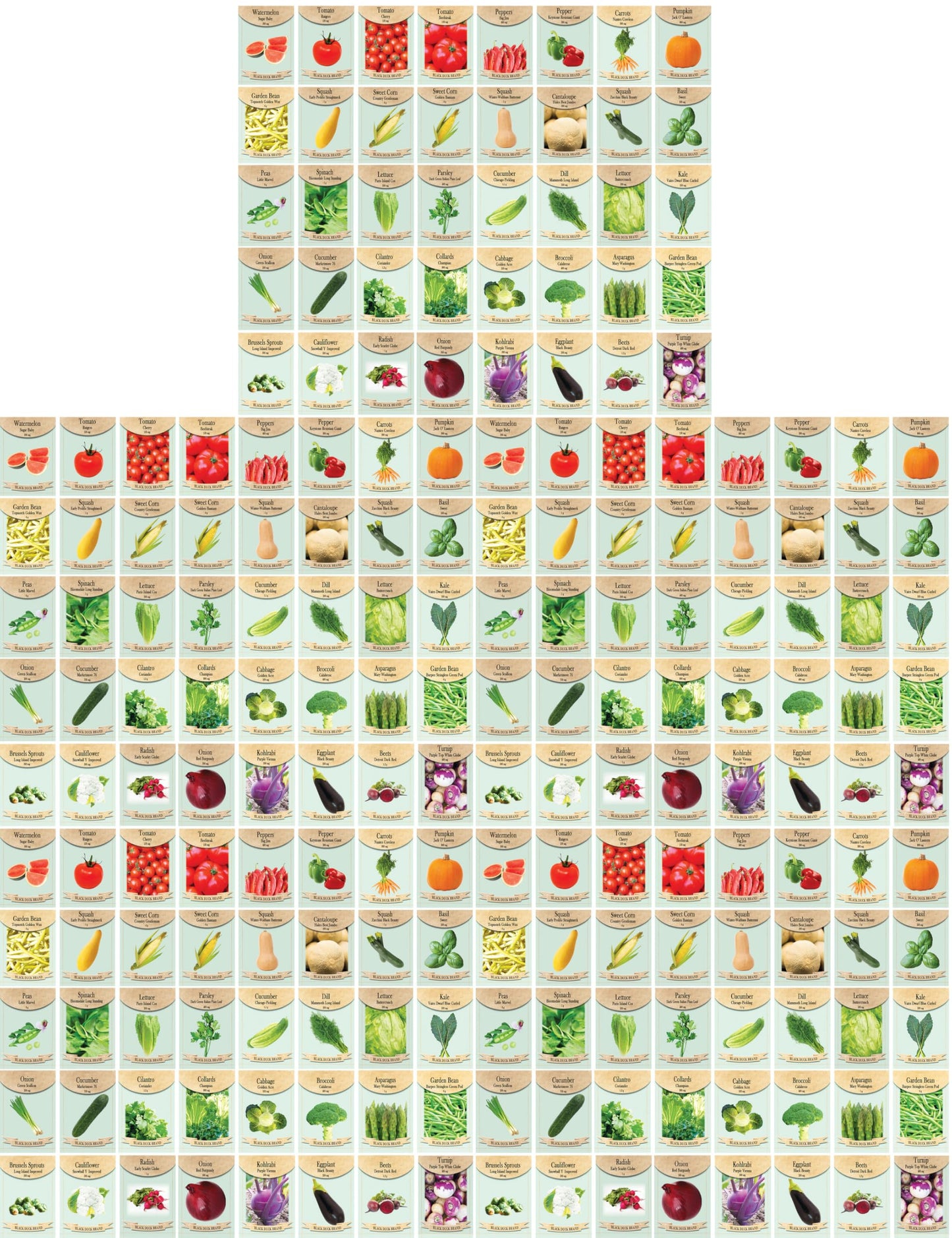 250 Packs Assorted Heirloom Vegetable Seeds 30+ Varieties All Seeds are Heirloom, 100% Non-GMO Thousands of Seeds (250 Vegetable Seed Packets)