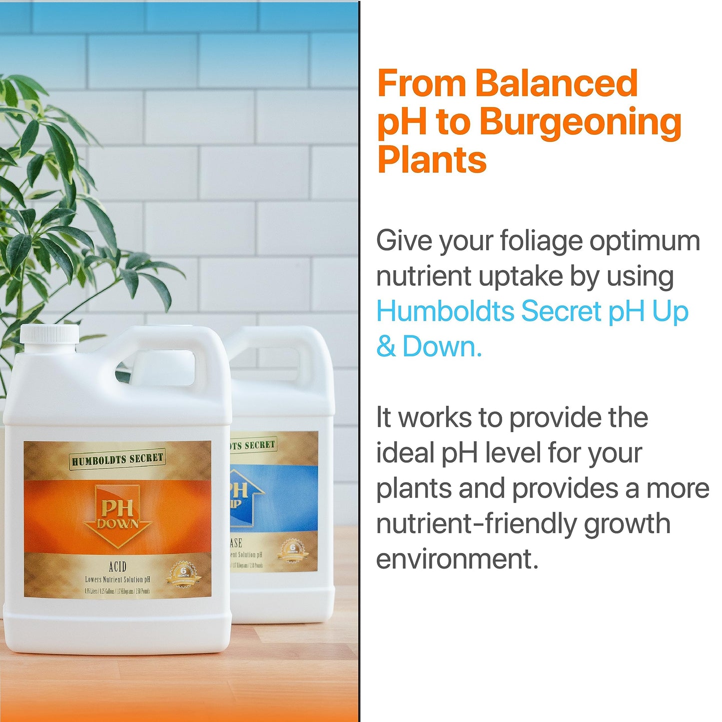 Humboldts Secret pH Up and pH Down Control Kit | Liquid Nutrient Solution Balancer for Plants | for Soil, Hydroponic, Coco, and DWC Systems | Supports Nutrient Absorption and Growth | 320 Ounce