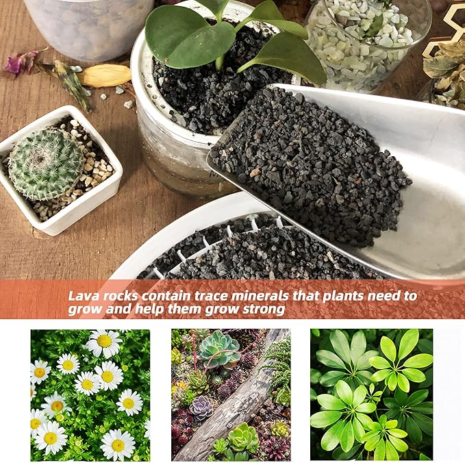 18lb Black Lava Rock for Plant, 1/8-1/4 inch Horticultural Volcanic Rock Soil for Decorative Landscaping Bonsai, Cacti, Succulents Plants Top Dressing for Release Excess Water