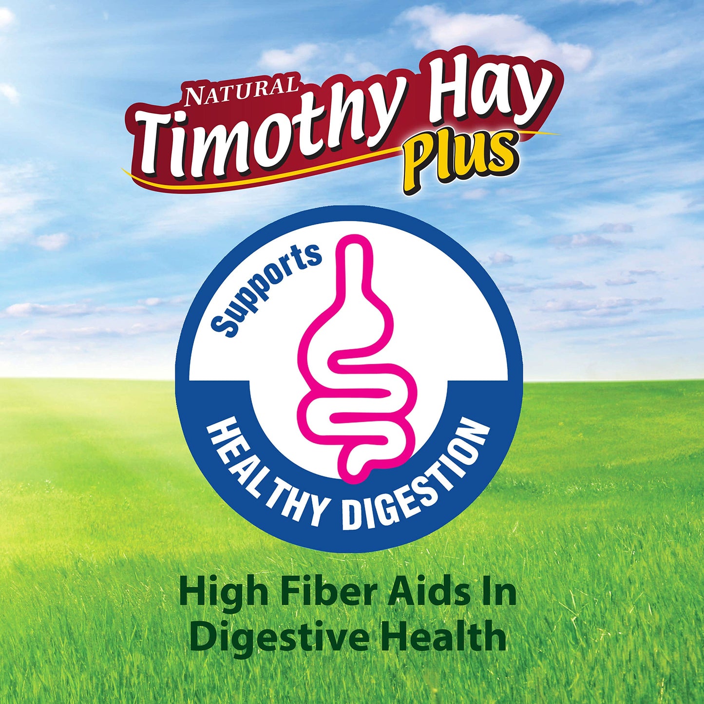 Kaytee All Natural Timothy Hay Plus Rose & Thyme for Guinea Pigs, Rabbits & Other Small Animals, 24 Ounce