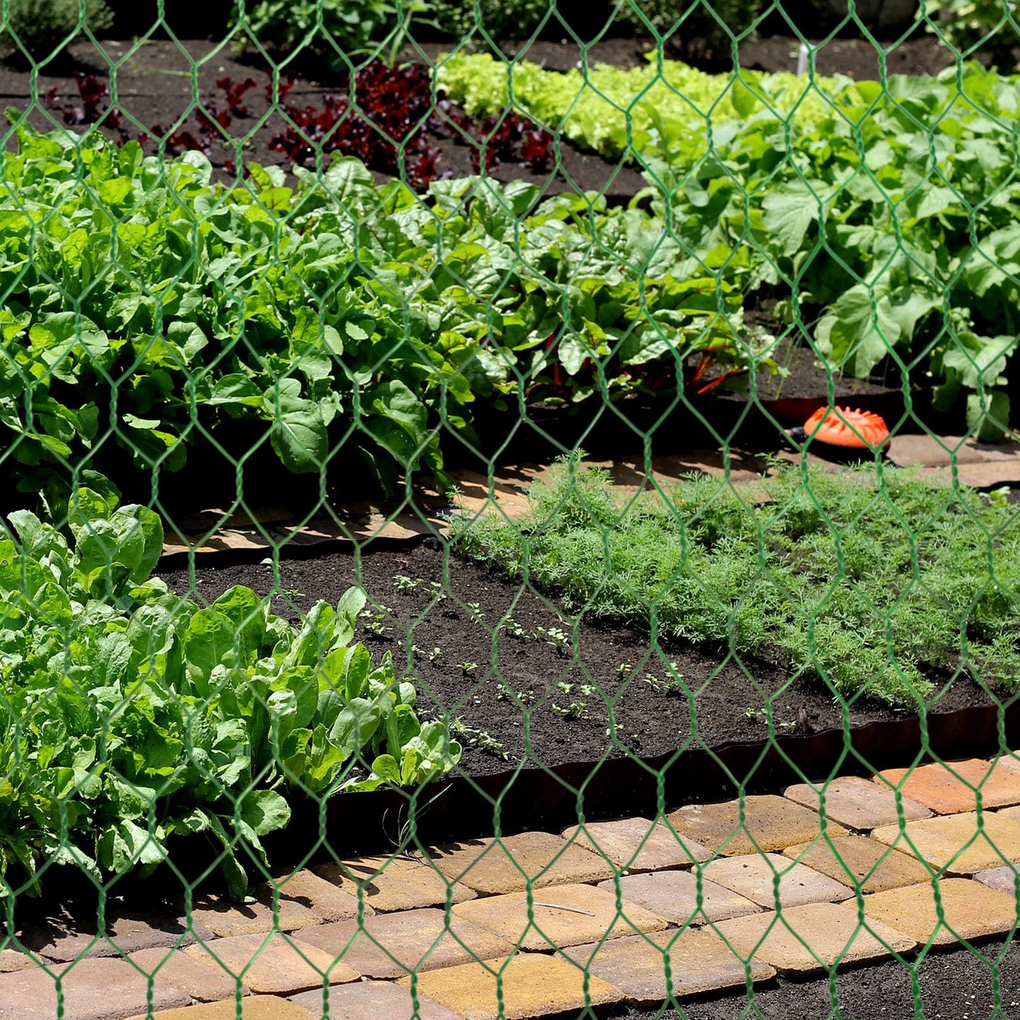 SATINIOR Chicken Wire Fencing 13.7 x 80 Inches Chicken Wire Frame Mesh for Floral Arrangements Fence Garden Poultry Netting Galvanized Hexagonal Metal Roll for Craft Work Garden (Green)