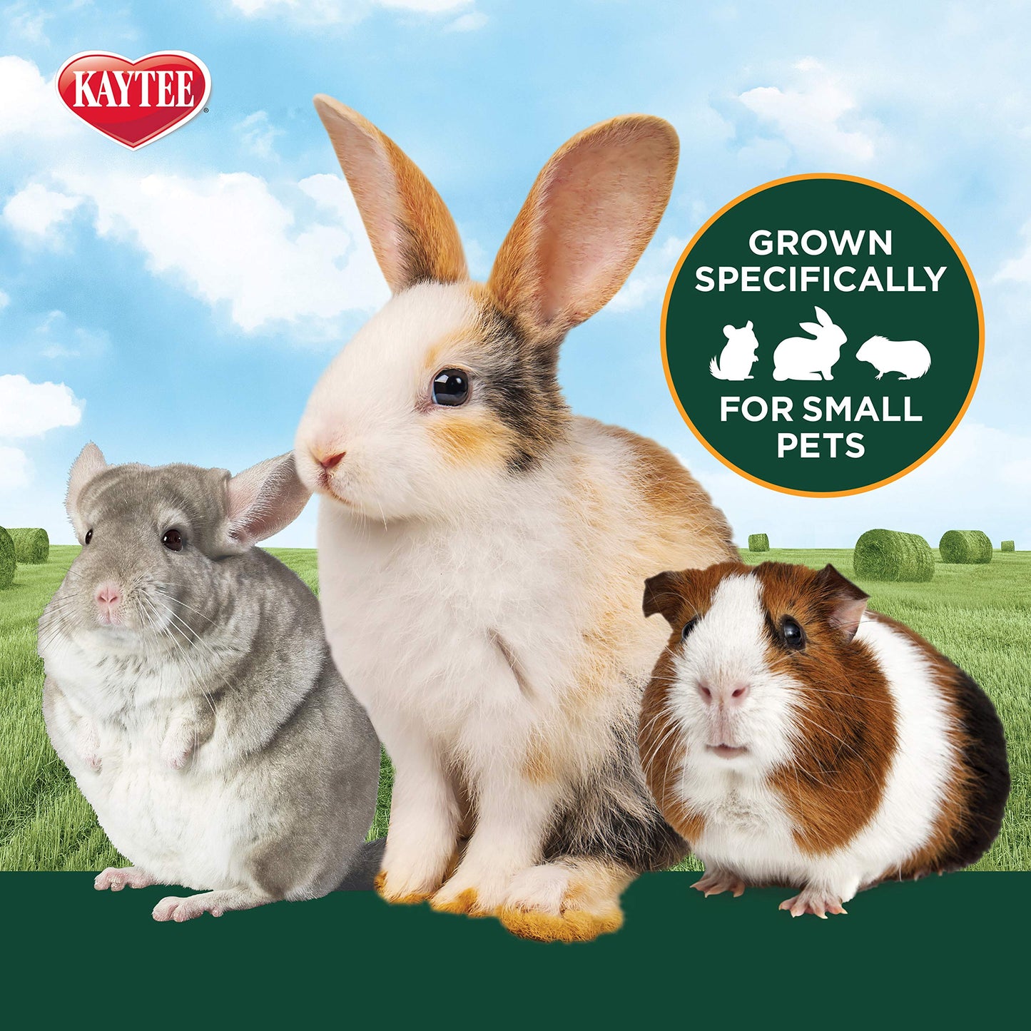 Kaytee All Natural Timothy Hay Wild Meadow Hay Blend for Guinea Pigs, Rabbits & Other Small Animals, 24 Ounce