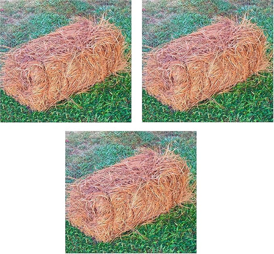 USA Pine Straw - Premium Pine Needle Mulch (Pine Needle Mulch - Covers 65-80 Sqft 3 Set)