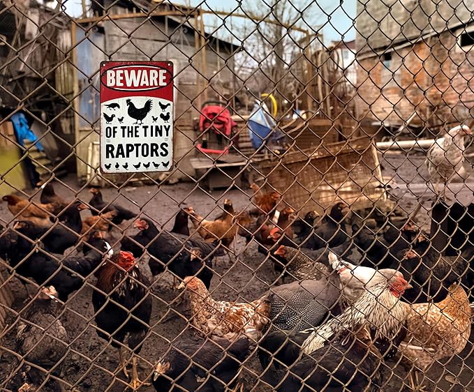 Funny Gifts for Women Chicken Lovers Farm Enthusiasts Beware of The Tiny Raptor Chicken Tin Sign for Chicken Coop Farm Kitchen Garden Yard Decor 8 X 12 Inch (3921)