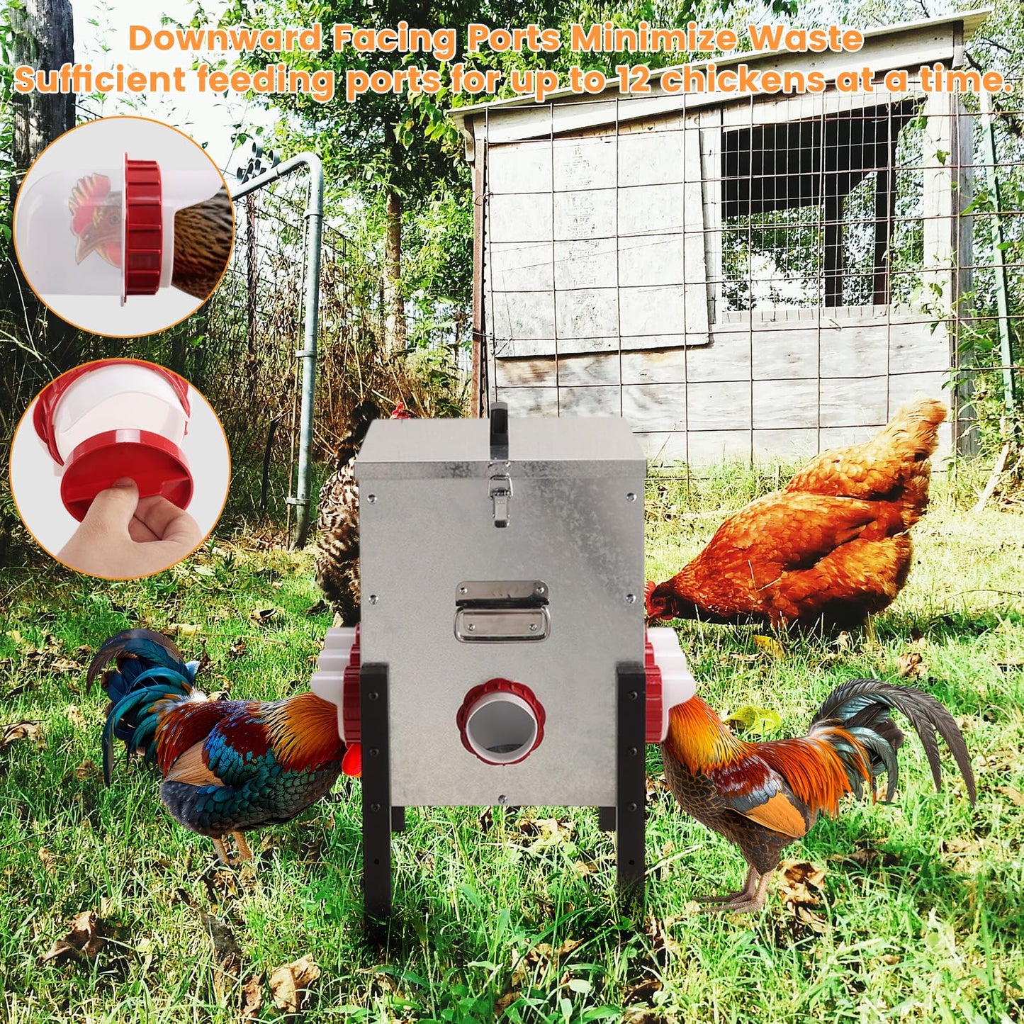 50LB Automatic Chicken Feeder with Cover – Large Capacity Metal Chicken Coop Feeder with 8 Feed Ports, Adjustable Legs Rainproof No Waste Outdoor Poultry Feeder for Hens & Free Range Flocks