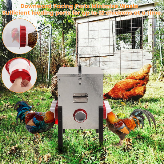 50LB Automatic Chicken Feeder with Cover – Large Capacity Metal Chicken Coop Feeder with 8 Feed Ports, Adjustable Legs Rainproof No Waste Outdoor Poultry Feeder for Hens & Free Range Flocks