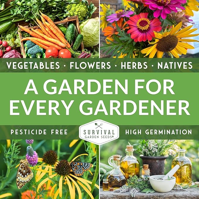 Survival Garden Seeds - Tiny Tim Tomato Seeds for Planting - 2 Packs with Instructions to Grow in Your Home Vegetable Garden - Non-GMO Heirloom Variety