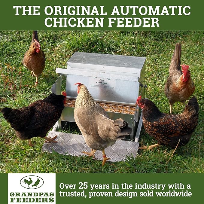 Grandpas Feeders Automatic Chicken Feeder for Large Size for 12 Chickens - Long-Lasting Galvanized Steel - Zero Waste Poultry Feeder, Spill Proof with Weatherproof Lid 10 Days (40lb Feed)