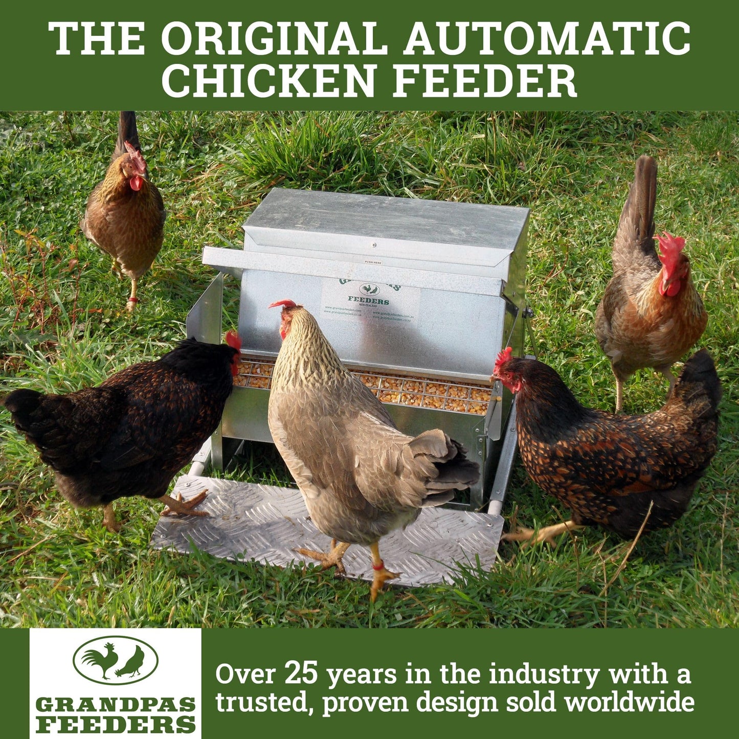 Grandpas Feeders Automatic Chicken Feeder for Large Size for 12 Chickens - Long-Lasting Galvanized Steel - Zero Waste Poultry Feeder, Spill Proof with Weatherproof Lid 10 Days (40lb Feed)