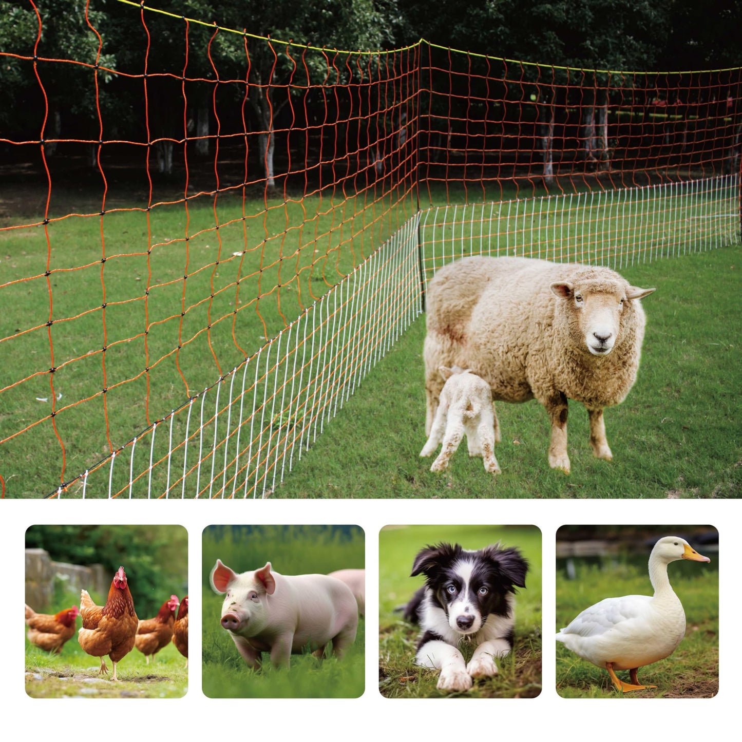 Electric Premium Poultry Netting Fence 59”H x 98.5’L - Versatile Portable Electric Fencing for Flying Chicken Sheep Goats Deer Hogs Dogs, Used in Backyards Homesteaders Farms and Ranches, PK1