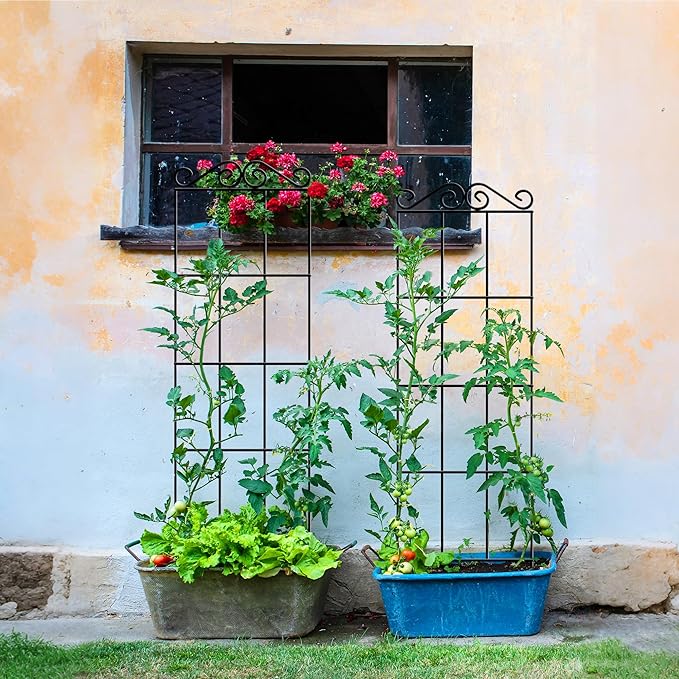ARIFARO 47'' Metal Garden Trellis for Climbing Plants,(Pack of 4) Indoor/Outdoor Sturdy Plant Trellis for Potted Plants,House Plants, Climbing Vines, Black