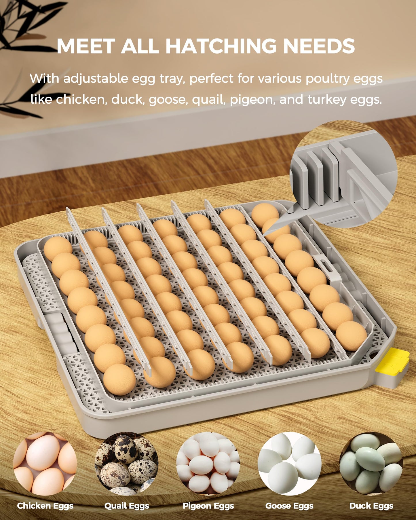 Besly 48 Egg Incubator for Hatching with Automatic Egg Turning and Humidity Control, Egg Candler, Poultry Egg Incubator for Chicken, Ducks, Goose, Pigeon, Quail, ideal for Farm, Classroom, Home