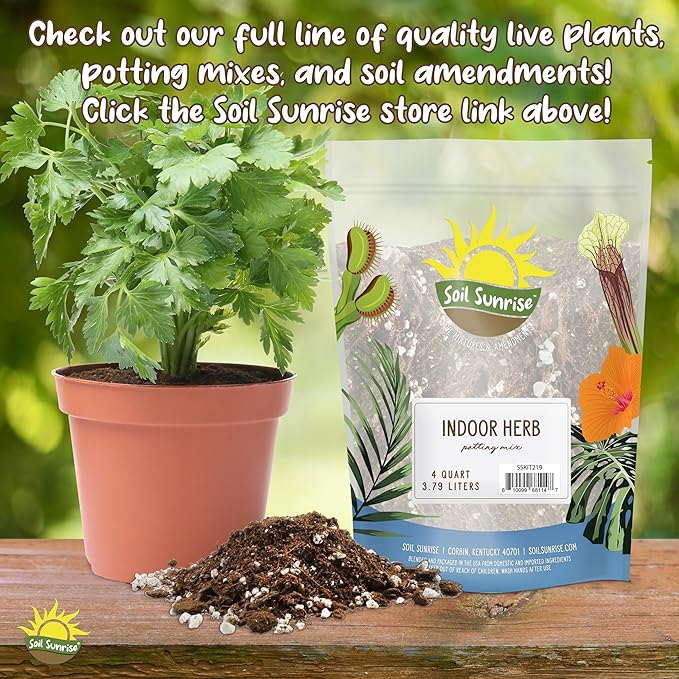 Palm Tree Potting Soil (8 Quarts), All Purpose Mix for Growing Indoor Palm Plants