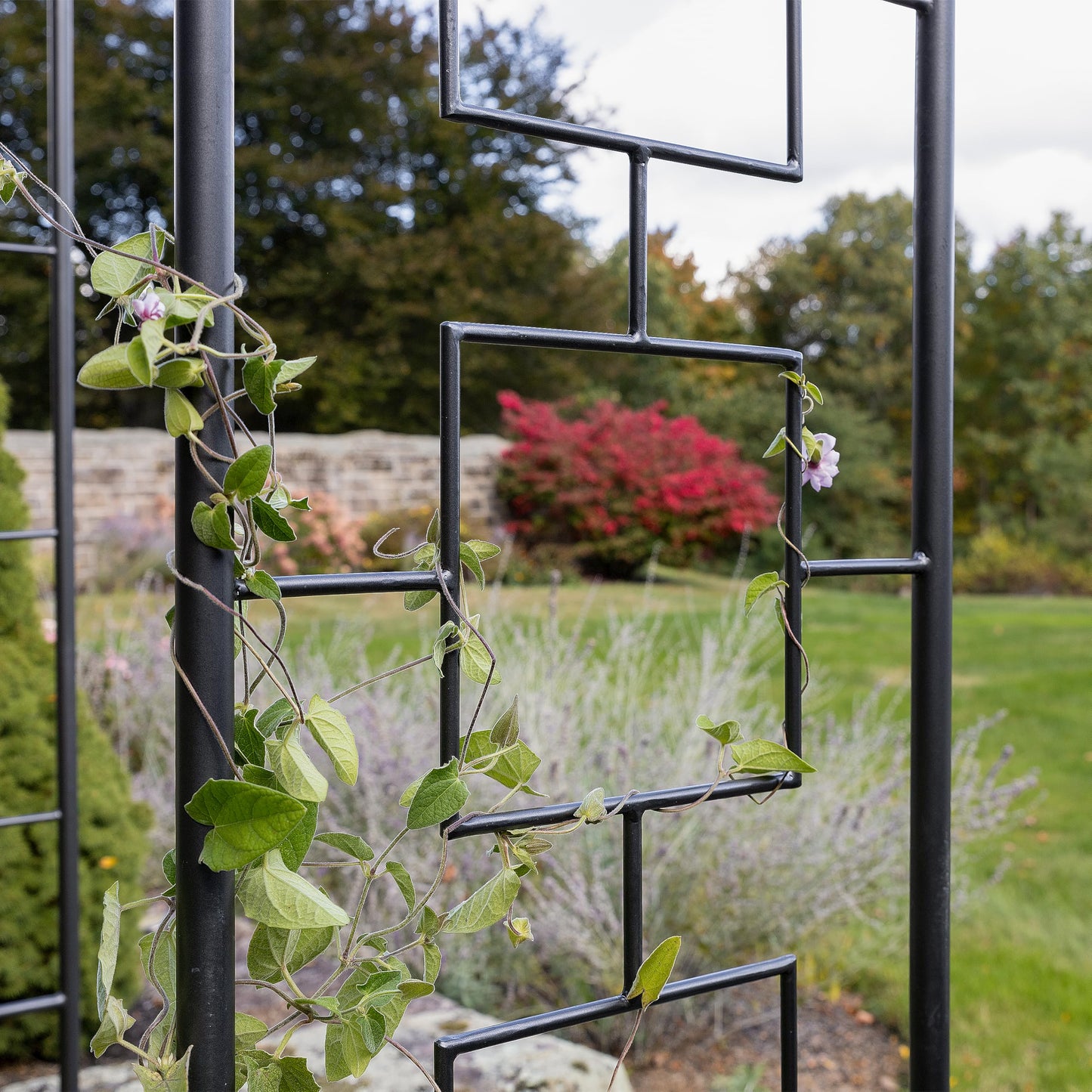 Achla Designs Modern Arbor Wrought Iron Garden Arch