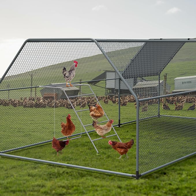 Chicken Coop Perches with Swing, Metal Chicken Roosting Bars, Chicken Run Toys Accessories for Backyard Poultry Habitat Supplies, Hen Perch for Coop, Farm Chick Ladder, Grey