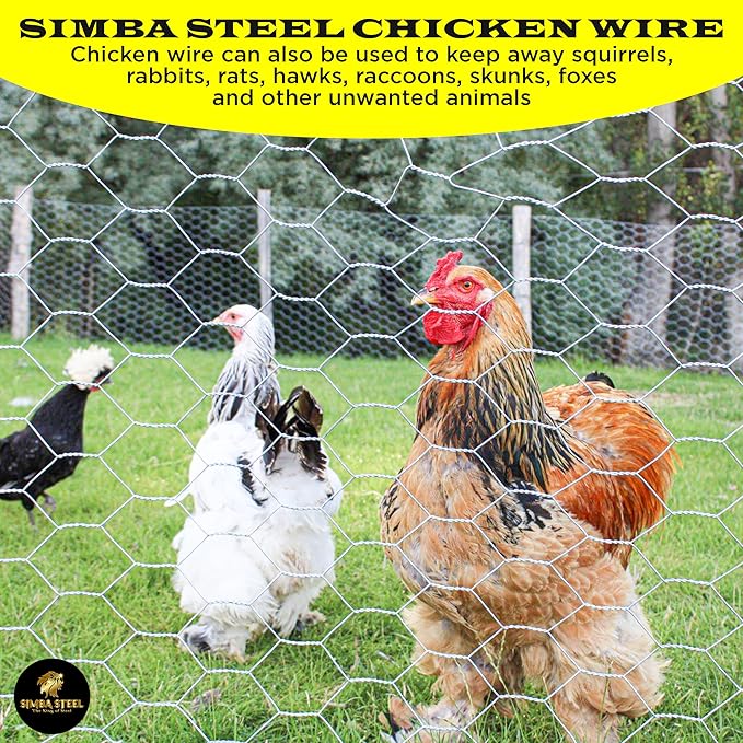 Chicken Wire 24 in x 25 FT x 2” Mesh x 20GA | Poultry Wire Netting | Hot Dipped Galvanised | Hexagonal Galvanized Mesh for Chicken Coop, Rabbit Cage, Fence Barrier PM24x25x2