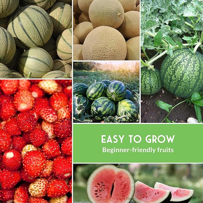 Survival Garden Seeds - 8 Fruit Seed Collection for Growing Watermelon, Cantaloupe, Melon, Strawberry, and Cucamelon Plants in Your Home Vegetable Garden - Non-GMO Heirloom Fruit Seeds Variety Pack