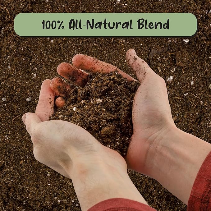 Peace Lily Potting Soil Mix (8 Quarts), for Planting, Growing, or Repotting Peace Lily Plants