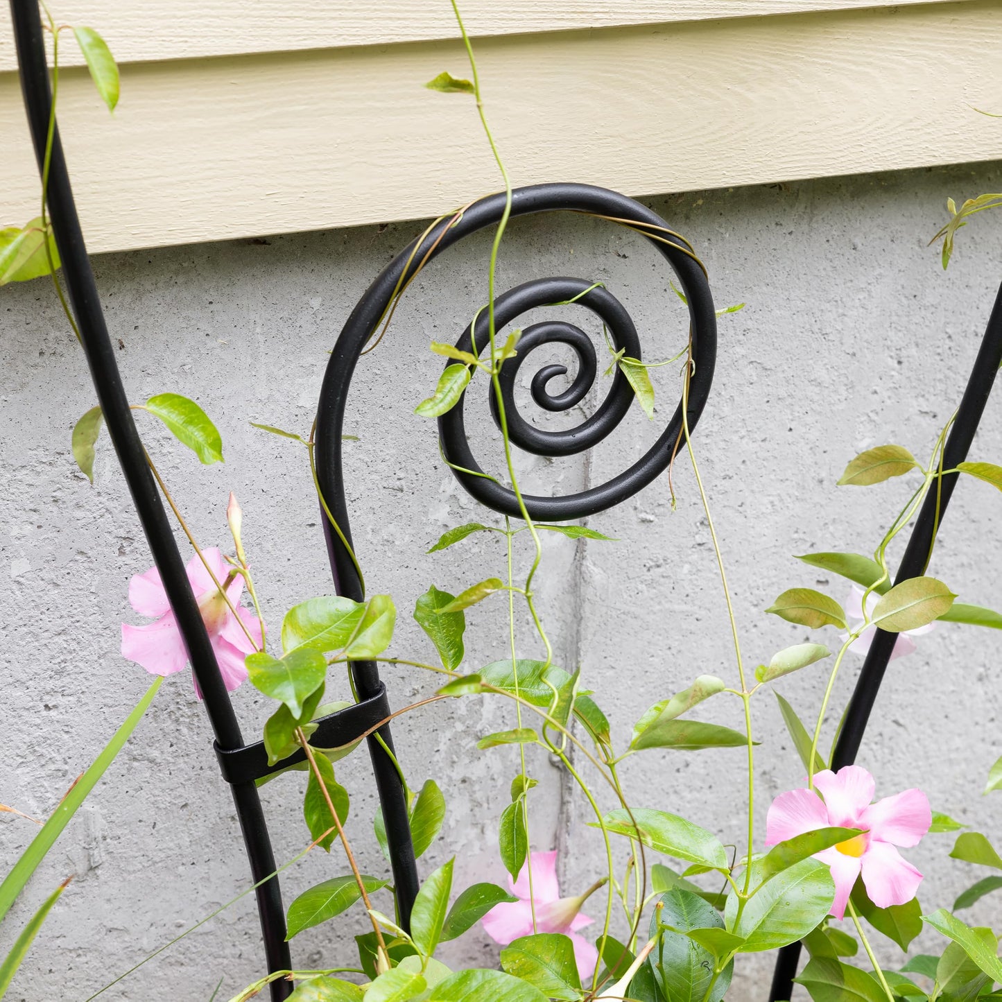 Luna Trellis
