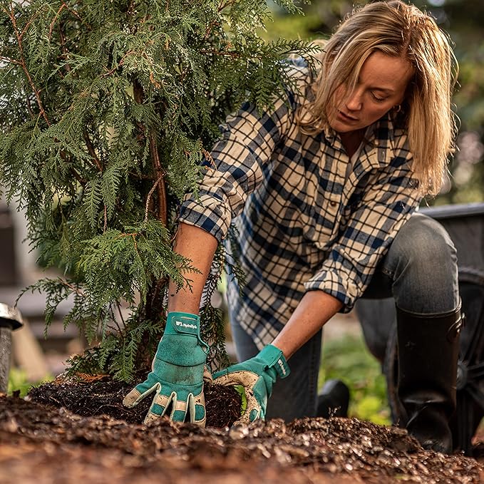 Wells Lamont Women's Hybrid Work/Gardening Gloves | Water-Resistant HydraHyde Leather | Medium (3204M)