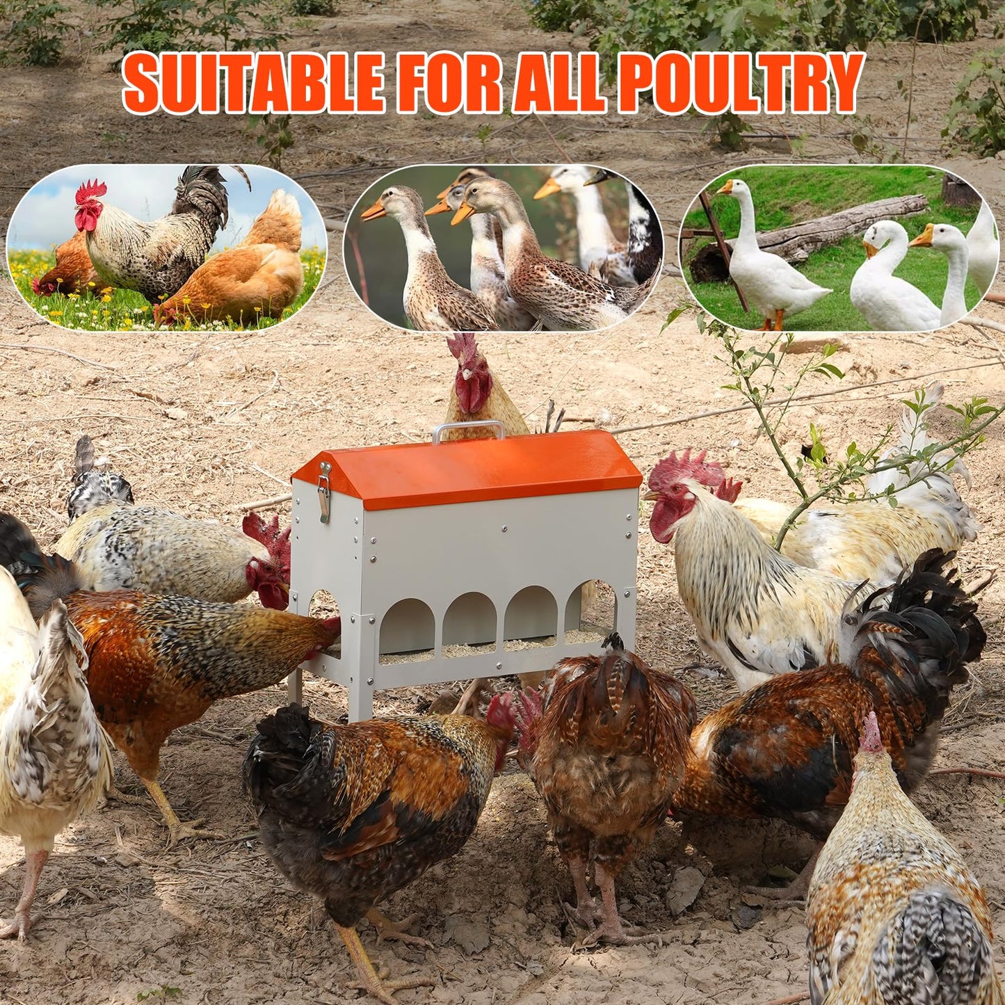MUDUOBAN Chicken Feeder No Waste 15 Pound,10 Feeding Ports,with Metal Feeder Box Stands for Chicken Poultry Duck,No Food Buildup at The Bottom