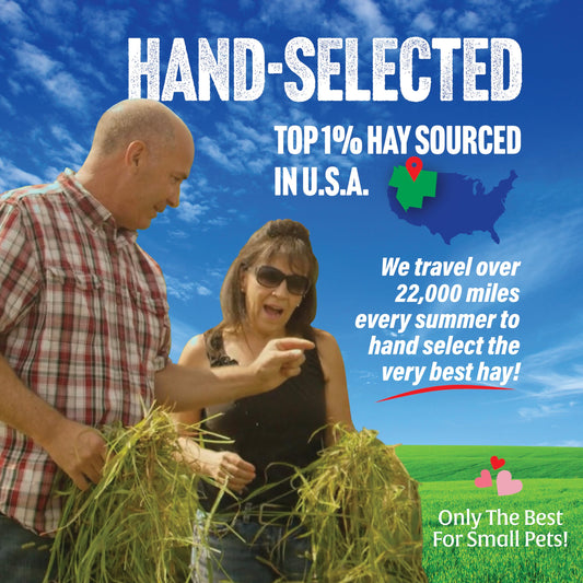 Small Pet Select-Sampler Box, 2ND Cutting, 3RD Cutting Timothy Hay, Oat Hay, & Orchard Hay