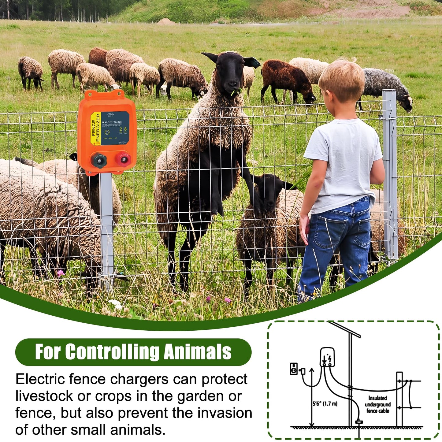 PE2 Electric Fence Energizer, 2-Mile/ 8 Acres Electric Fence Charger,0.1 Joule Livestock Fence Chargers for Containing Dogs, Livestock and Preventing Wild Animals Intruding,Orange