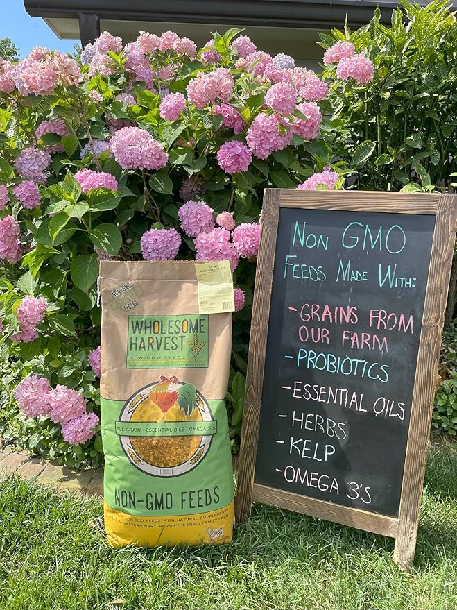 Non-GMO 10 lb Turkey Feed - Natural Peacock, Game Bird & Bird Feed, 24% High Protein Complete Food with Essential Oils, Herbs, Vitamins & Probiotics Formula for Healthy Flock Growth