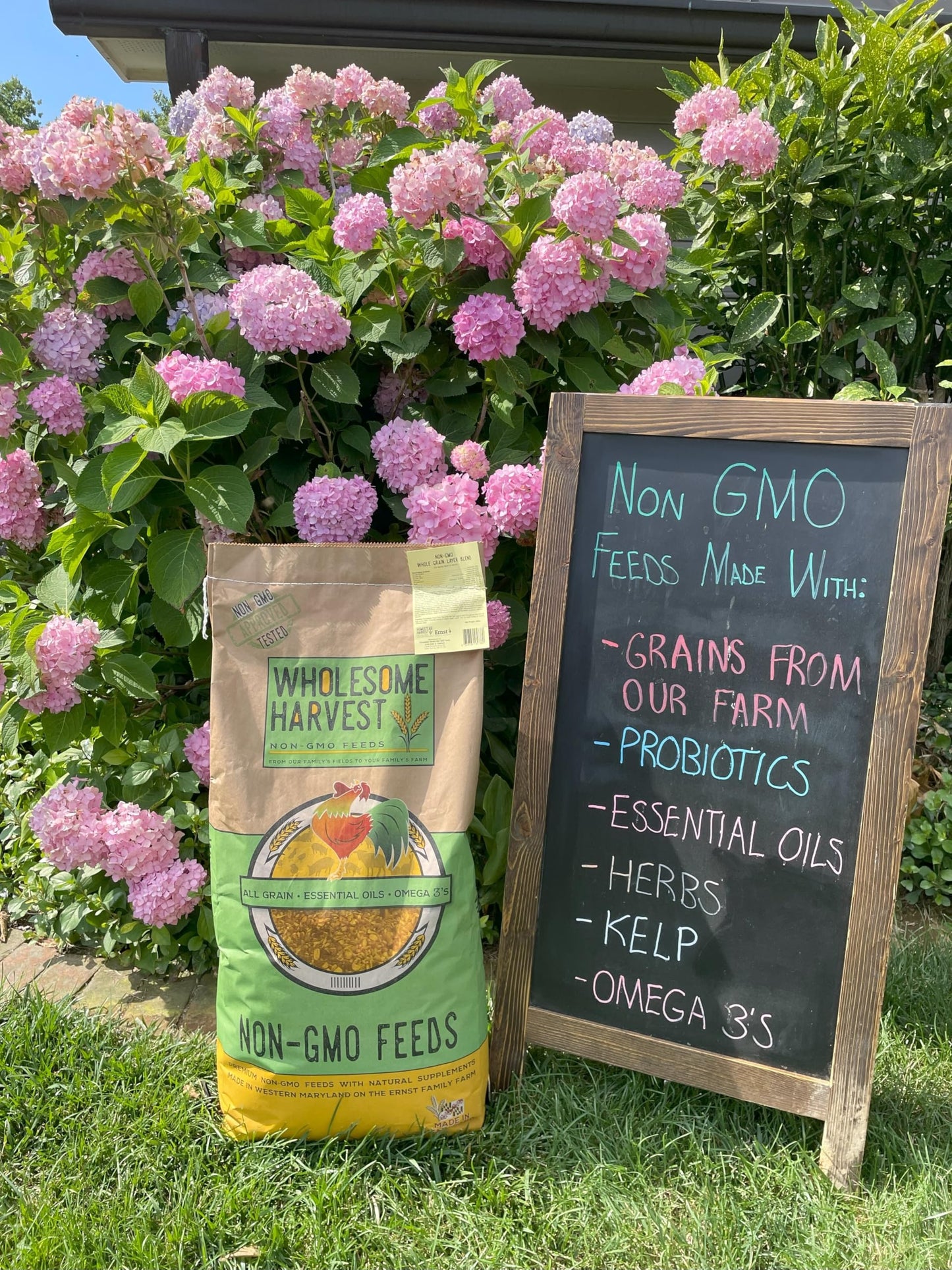 Wholesome Harvest - Corn & Soy-Free Chick Starter Feed - All Grain & Non-GMO Chick Food Starter with Omega 3 - Chicken Feed for Growing Healthy Chicks with High-Protein 22% and Probiotics - 10 Lb