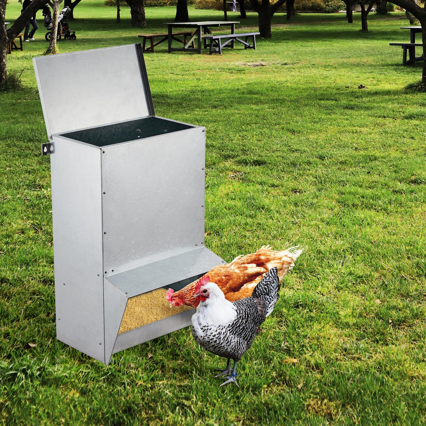 Domenow Galvanized Chicken Treadle Feeder, Poultry Feeder, 50lbs Automatic Chicken Feeder with Sides Buffer System, for 30-40 Chickens
