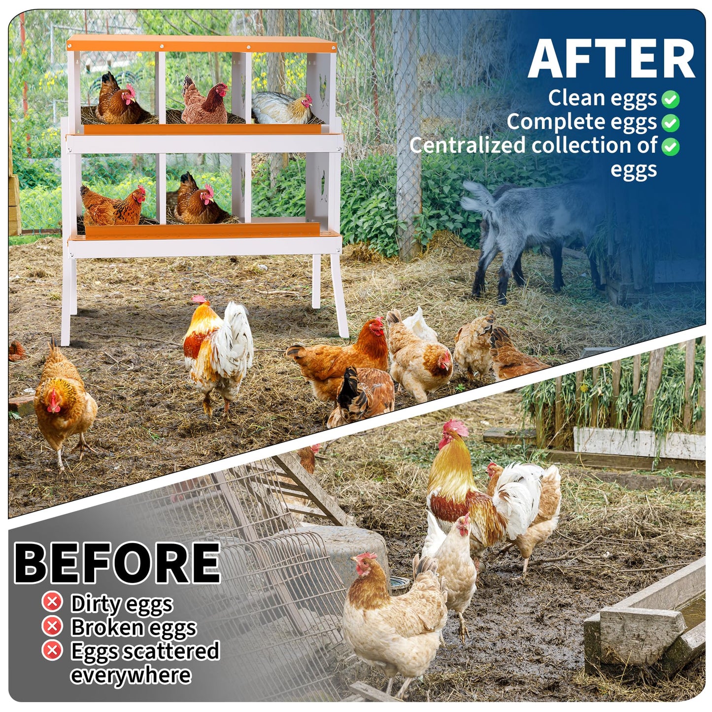 Garvee Chicken Nesting Box with Removable Tray, 6 Compartment Nesting Boxes for Chickens, Easy to Clean and Install, Chicken Laying Boxes for Chicken Coop to Protect Eggs - with Bracket Legs, Orange