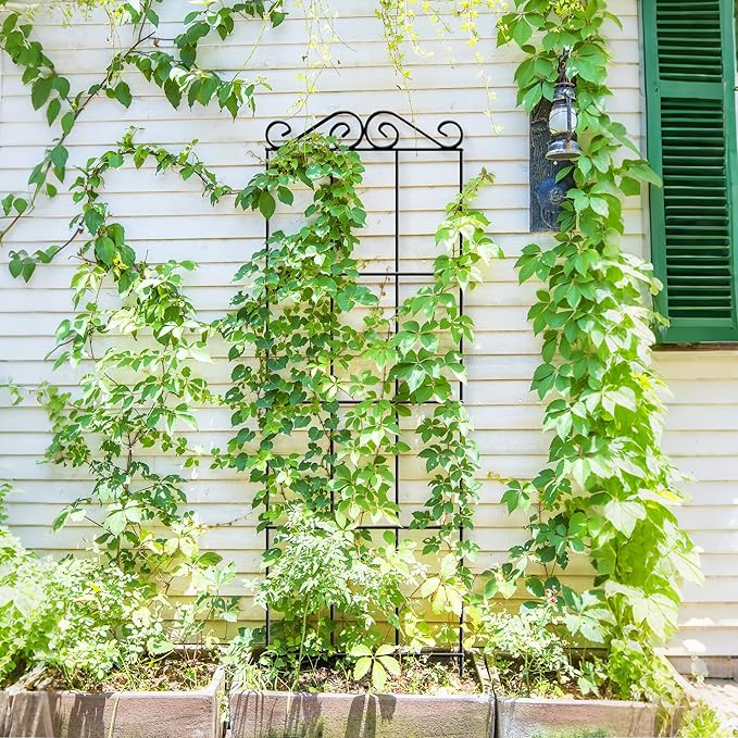 ARIFARO 37.5'' Metal Garden Trellis for Climbing Plants,(Pack of 4) Indoor/Outdoor Sturdy Plant Trellis for Potted Plants,House Plants, Climbing Vines, Black