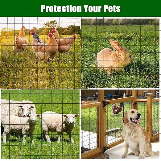 Hardware Cloth 2inchx2inch 36inx50ft 16 Gauge Chicken Wire Fence Galvanized Steel Mesh Rolled Fencing for Garden Supports Poultry Netting Cage Snake Fence Tree Guard, Black