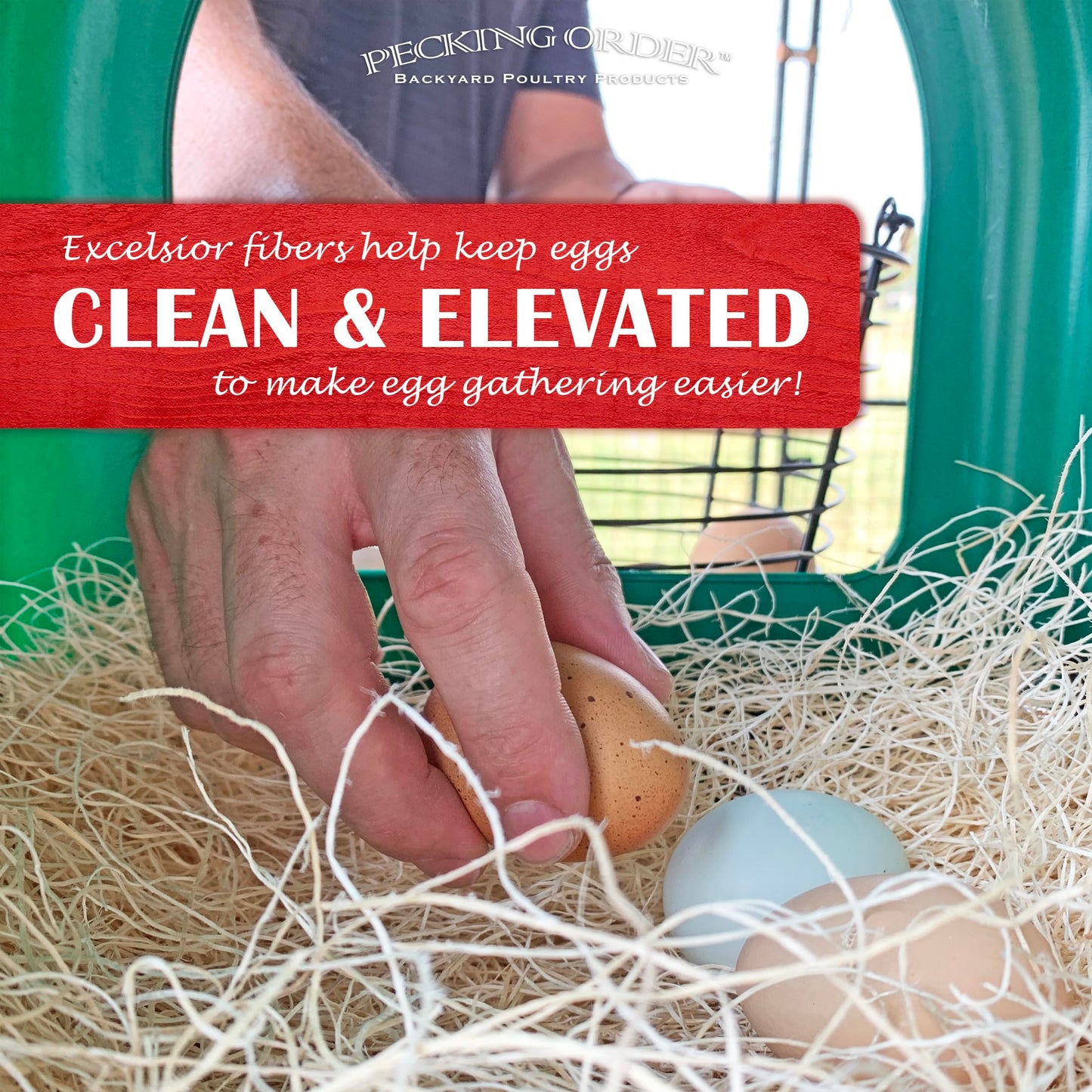 Nest Box Pads for Chicken Nesting Boxes - 13 x 13 Pads Made in USA from Sustainably Sourced Aspen Excelsior (10 Pack)