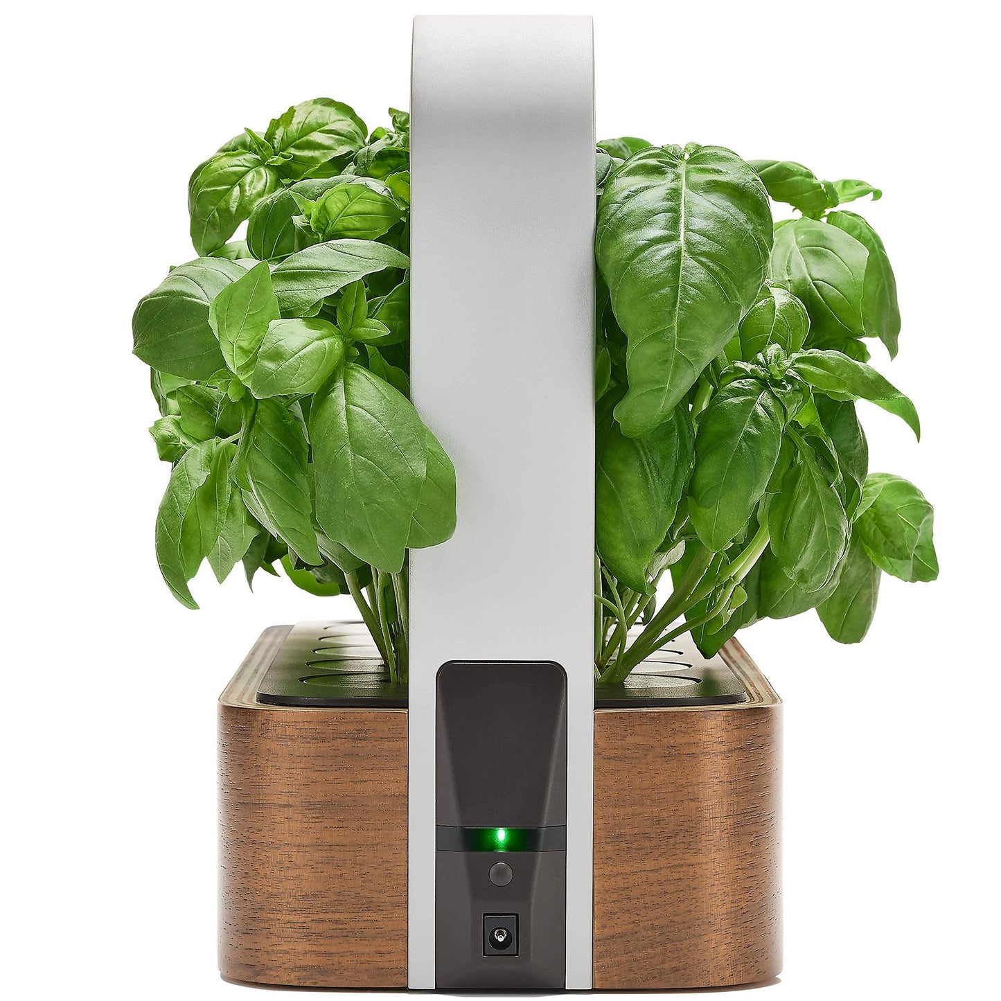 EDN SmallGarden with Basil SeedPods, Indoor Grow Smart Garden for iOS Devices - Fresh Home Grown Herbs, Plants and Flowers - Grow up to 10 Different Plants at Once