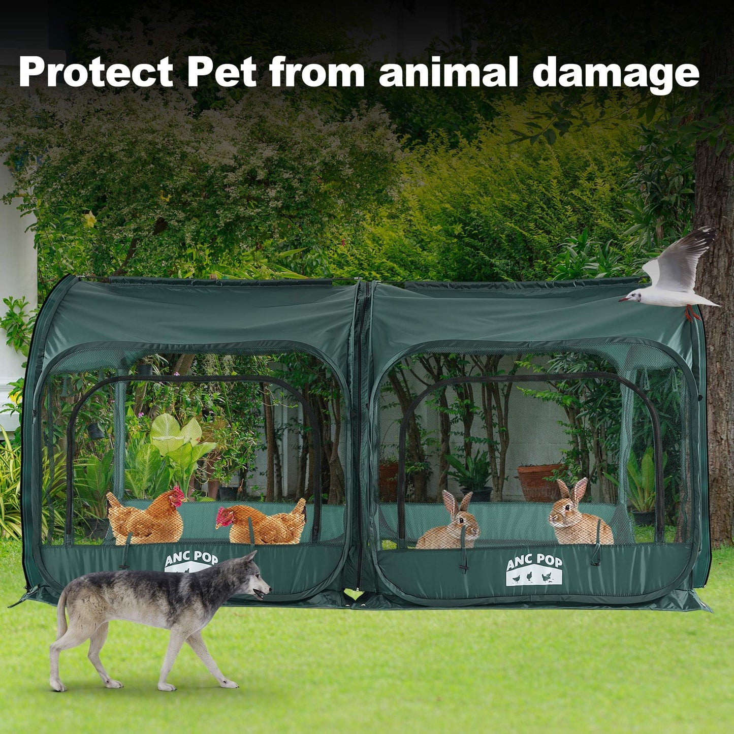 ANC POP 2Pcs Portable Chicken Run, Pop Up Chicken Tent for Small Animals Outdoor Gardening Net with 3 Doors and Handbag, Easy to Install and Storage, Green (80 x 40 x45)