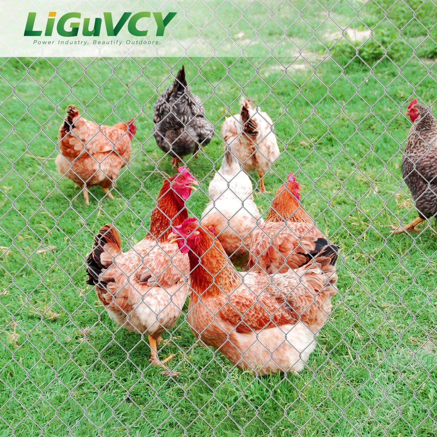 48 in x 150 ft, 2 inch Metal Mesh Pencing, Chicken Wire Fencing, Hexagonal Galvanized Poultry Wire Netting for Chicken, Duck, Goose, Rabbit Fencing