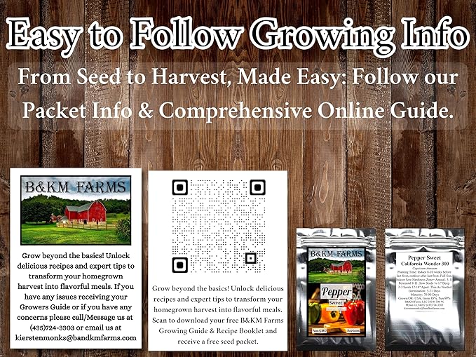 Beginner Survival Seed Vault: 10,000+ Heirloom & Non-GMO Seeds (20 Easy to Grow Varieties) by B&KM Farms