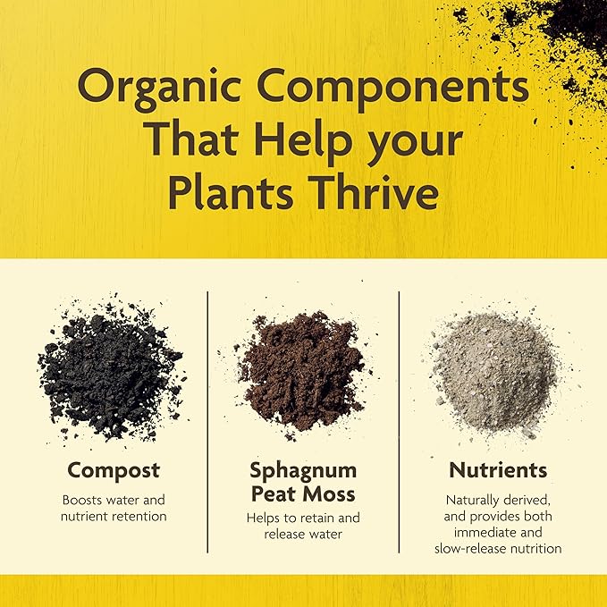 Miracle-Gro Organic Outdoor Potting Mix, for Outdoor Container Plants, Contains Quick-Release Natural Fertilizer, OMRI Listed, 16 qt., 2-Pack