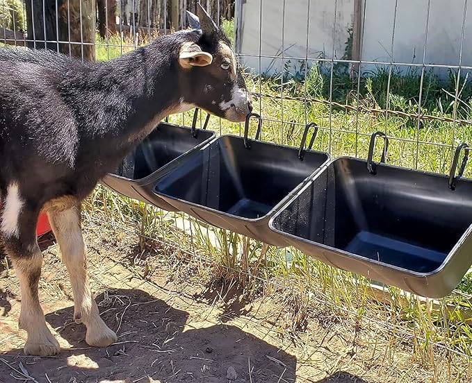 Hanging Chicken Feeder Trough for Goat Sheep Deer Poultry Duck Chicken Fence Feeder Livestock Feeding Container Goats Supplies Feeders Waterer Bucket