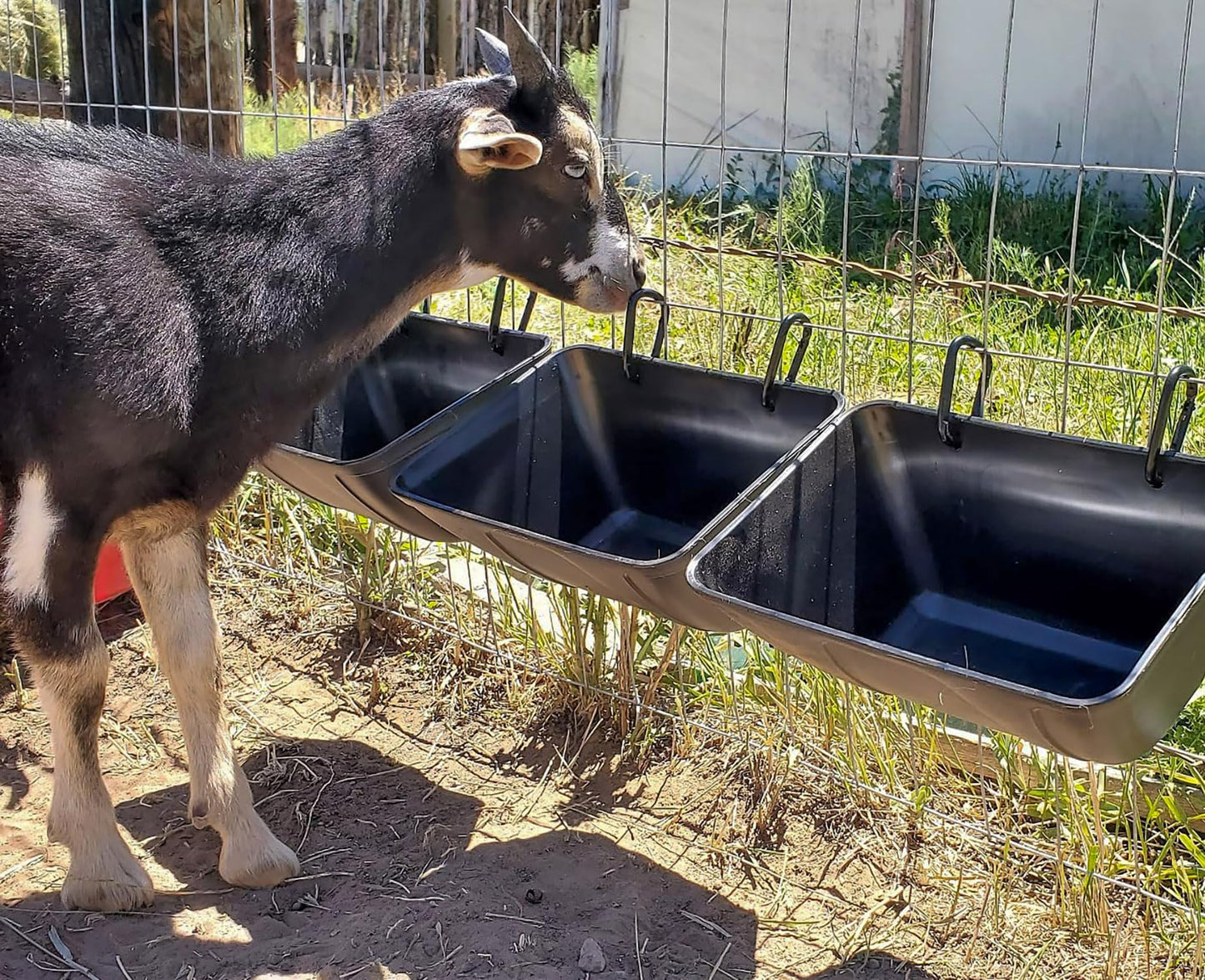 Hanging Chicken Feeder Trough for Goat Sheep Deer Poultry Duck Chicken Fence Feeder Livestock Feeding Container Goats Supplies Feeders Waterer Bucket