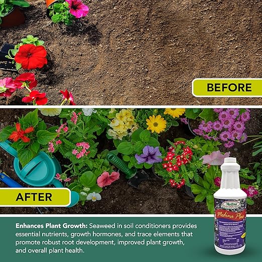 Medina Plus Liquid Fertilizer - Qt.